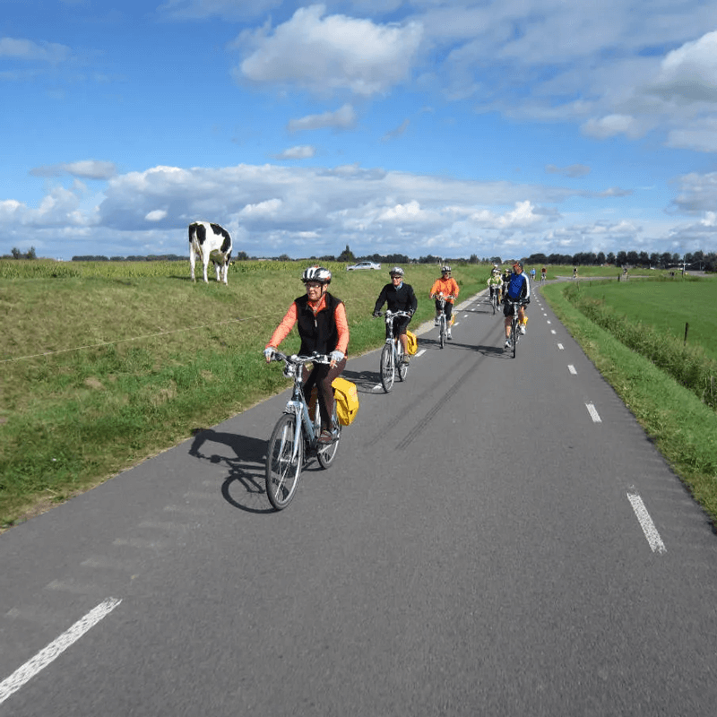 Webdesign Hoorn, Project Direct, Timo van Tilburg, Snel een Webdesigner Hoorn, Website laten maken Hoorn, Website laten bouwen Hoorn, SEO Hoorn, SEA Hoorn, Online Marketing Hoorn, Wordpress Hoorn, Zoekmachine optimalisatie Hoorn