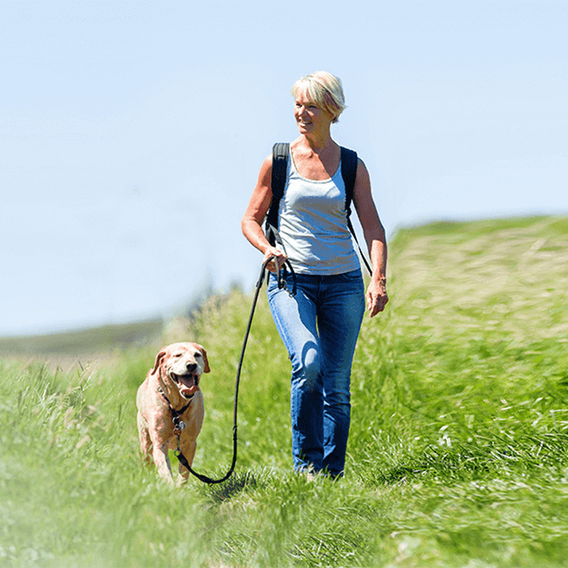 Webdesign Hoorn, Project Direct, Timo van Tilburg, Snel een Webdesigner Hoorn, Website laten maken Hoorn, Website laten bouwen Hoorn, SEO Hoorn, SEA Hoorn, Online Marketing Hoorn, Wordpress Hoorn, Zoekmachine optimalisatie Hoorn